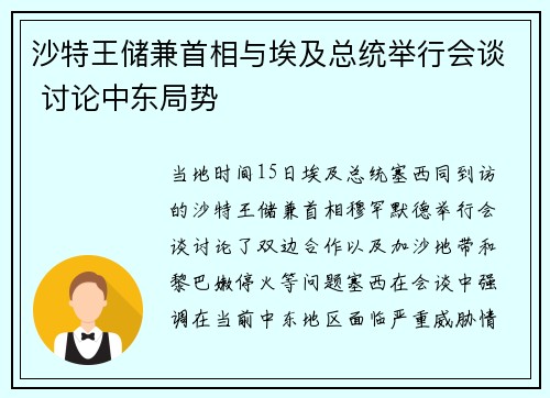 沙特王储兼首相与埃及总统举行会谈 讨论中东局势