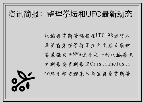 资讯简报：整理拳坛和UFC最新动态